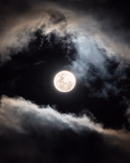 Item #74538995015435840111019835077918857414018361782222478882330568517209884196865 Media