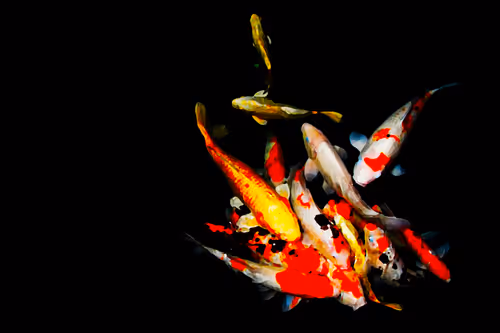 Item #21640367912713300631069534745988195510774607378700131721916317533223423836161 Media