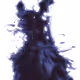 88019010338226350239565428024545977027639965338200655324277317975667948650497