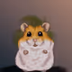 OrangeHamster Collection