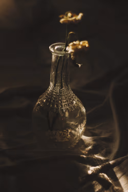 Item #114495732425891373745536168049683752920619799659036817548952625706232142888961 Media