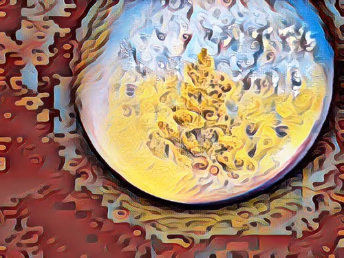 Item #68103433958729647441734292428991292973430553462390996571560802119712491175937 Media