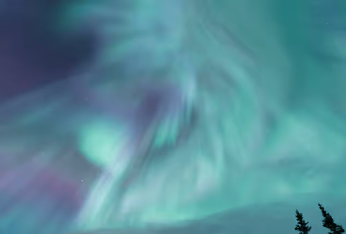 The 2022 Editions - Eric Bleicher (Legacy)