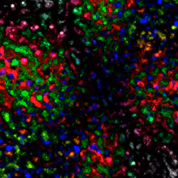 15788716269792817091517444034975324371579435356184901086933549734067424985089