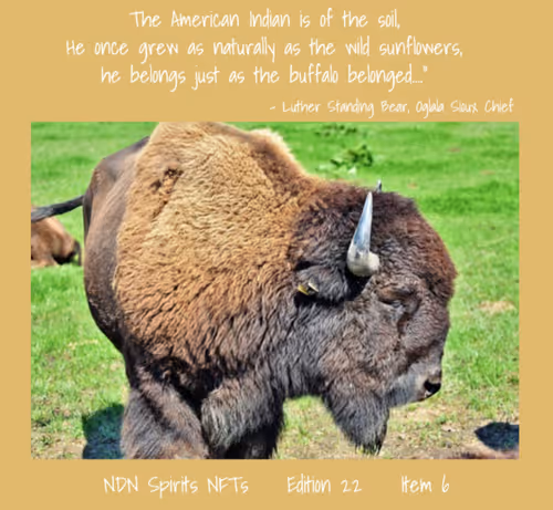 Item #27133999137027859821785203591461998808626343634251421429045110603910905593857 Media