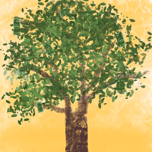 elgatoakira Collection