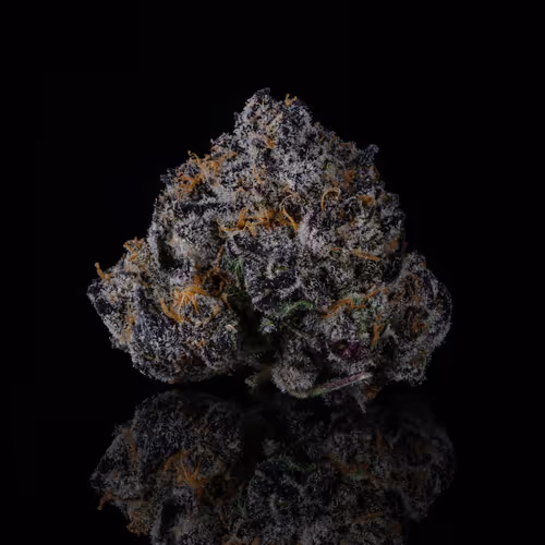 godspeedmoon Collection