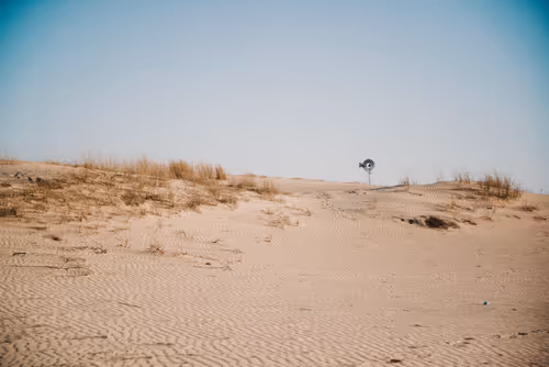 Item #114356424979646912091291396938675079969318378250921425408739931190156664504321 Media