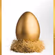 A Golden Egg