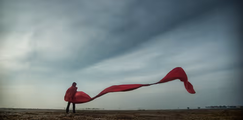 Item #78738558394879565749295301770975625214035895041037527328958806096539503558657 Media