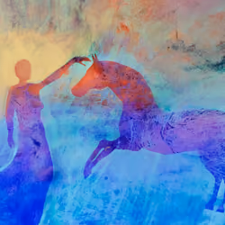 Magic horse VI
