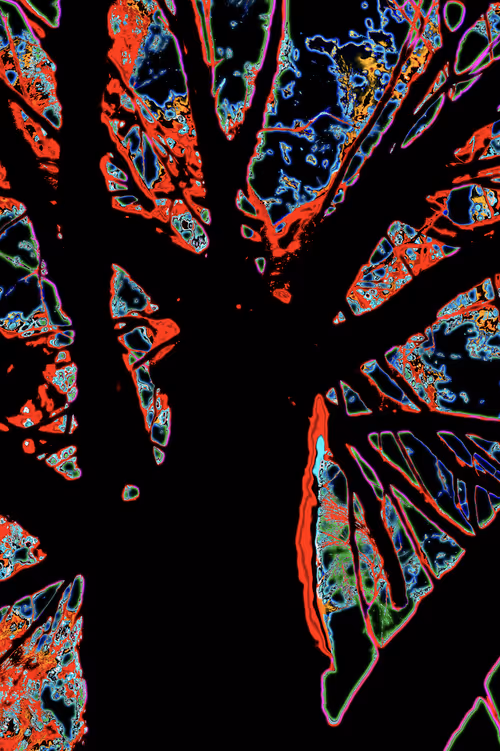 Item #52983178827140167828798930307680145442294499588078519944189482746624908197889 Media