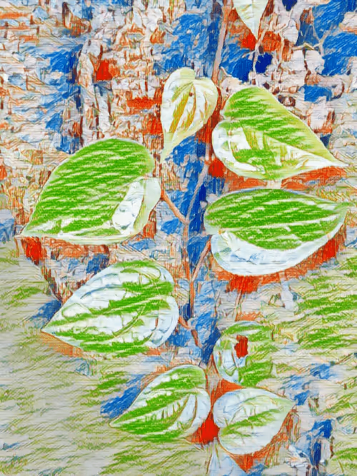 Item #69261177602478584146078213691104273677815526894191982293268527916716000280577 Media