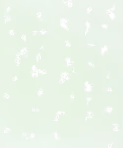 Item #66412083877775050052255921183624814536266007620308041883263231591651311878145 Media