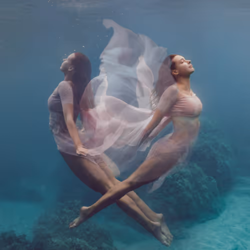 Wonderland By Sea Alchemy