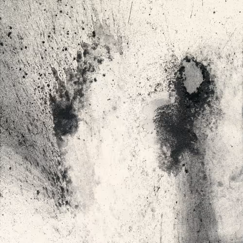 Item #83308933243547044610050520543133130001777721092000221947954522018428391260161 Media