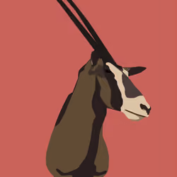 Ungulate 50