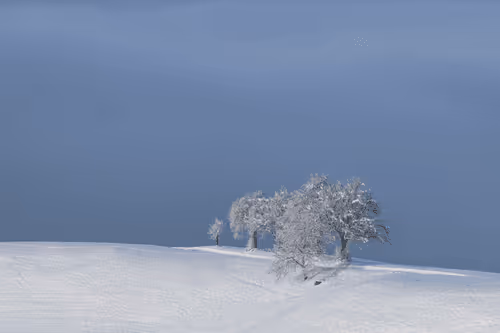 Item #82038507178112004707132471695972498506825775528903589266831690702959111307265 Media