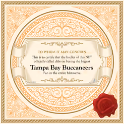 Biggest Tampa Bay Buccaneers Fan in the Metaverse