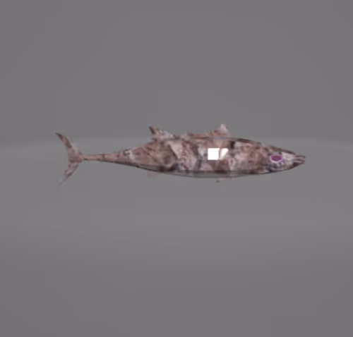 Item #56712599310051205183037186125157492520095871183251574391938907220880033579009 Media