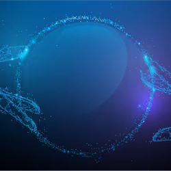 AgencyRocketsConnection
