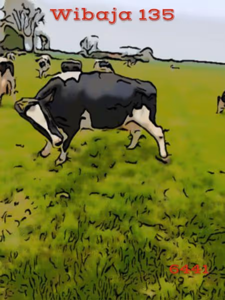 Item #106168068867162485094593885732241547229015412580842941571810197549442901475329 Media