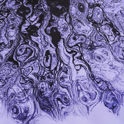 115338729222800520070386886369929169666551686229421791026138919750143490129921