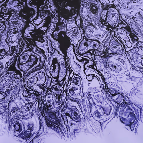 115338729222800520070386886369929169666551686229421791026138919750143490129921