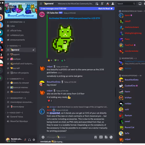 Steponstar Collection