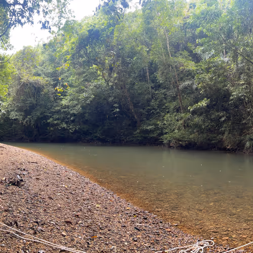 Untitled Collection #53269699