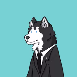 #22 Noah Alaskan Malamute