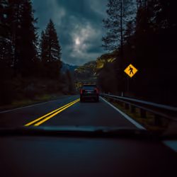 Nocturnal Drives