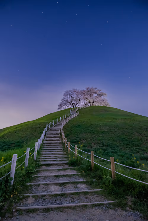 Item #108911492996146874115956011896780761878527851196280444702557873502873758728197 Media