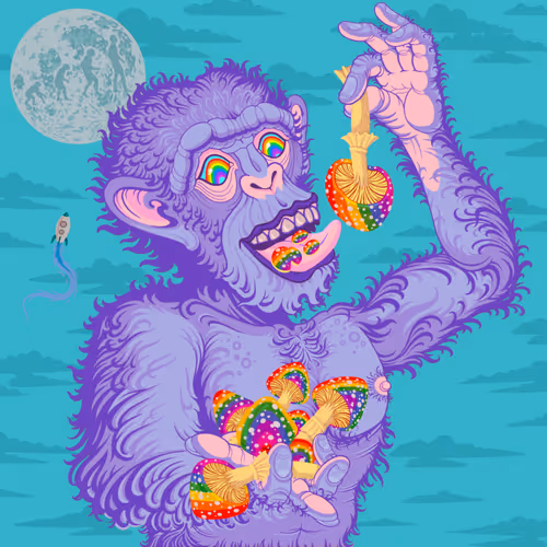 Item #16119877760501292309973729803484406804180950439751927273251274141930497245185 Media