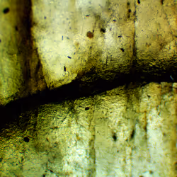 71646257518770613568983710813551014237803002136866425209291834709090796306433