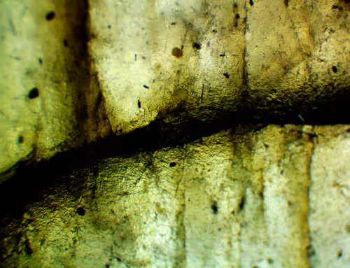 Item #71646257518770613568983710813551014237803002136866425209291834709090796306433 Media