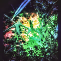 3787080761074609709675817509753112159059746763483256848434353601776873111557