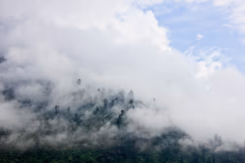 Item #55872243102339386712220551741228759109751289636355029526160180423355533361153 Media