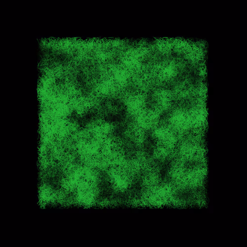 Item #12032733712256437664215437925069129638151898554142308319368358756410938359809 Media