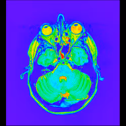 64162533542198579898252916190583583845604629893829087458582976034964064174081