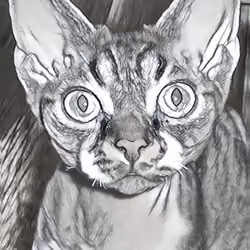 The Bestest Cat 10
