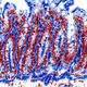 18860443129393574225707117987852948959435804909365503564106645509063967768577