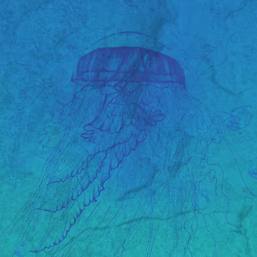 113233535435930126246803406212525192330824104616936385021501681237496409620481