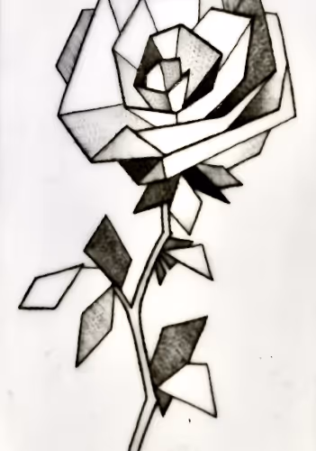 49633588584210191877827495889317389867919894257415323440476020800877259390977