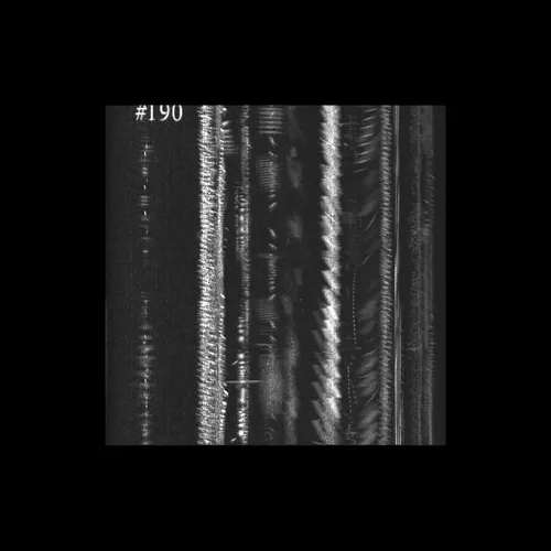 Item #43939955971694368961434358164711021081057237677410347264159754900405940649985 Media