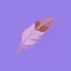 110945334334062783106756672987001850048310114133861008275448055212252795502593