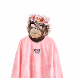 Ape of happiness