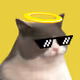 92303754708890637460830726684637459069028556254635882445686513099701661728769
