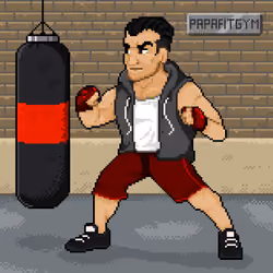 Papafitgym Pixel Art #017