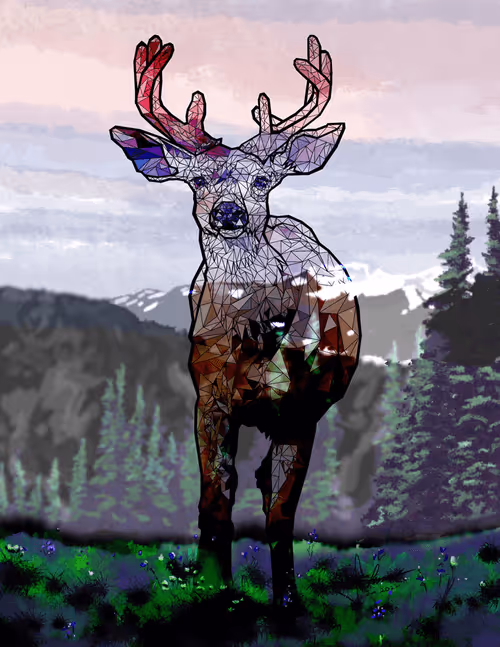 Item #27193563482882522542439939713459761912672392428874250881535280999608646369286 Media